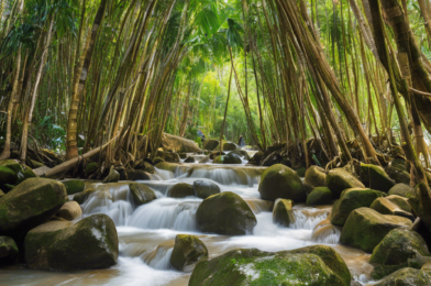 Off the Beaten Path: Discovering Vietnam’s Hidden Treasures